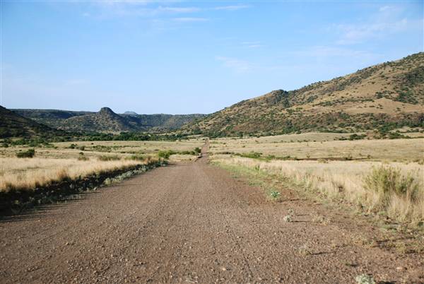 CF Ranch (6/10/2010)