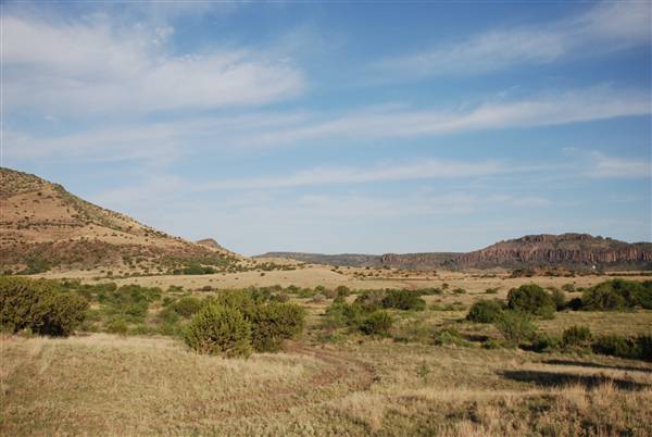 CF Ranch (6/10/2010)