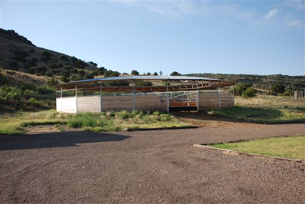 CF Ranch (6/10/2010)