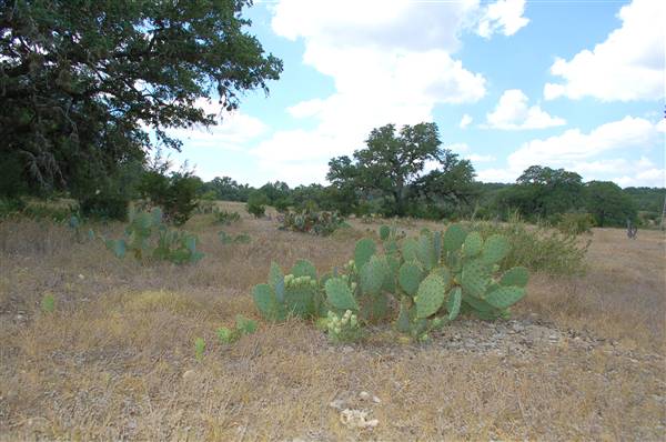Milton Reimers Ranch County Park (8/25/2010)