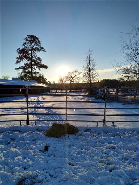 Hidden Meadows Ranch (7/6/2023 - Credits: Liza Clark)