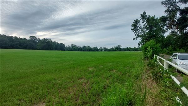 Hidden Meadows Ranch (7/6/2023 - Credits: Liza Clark)