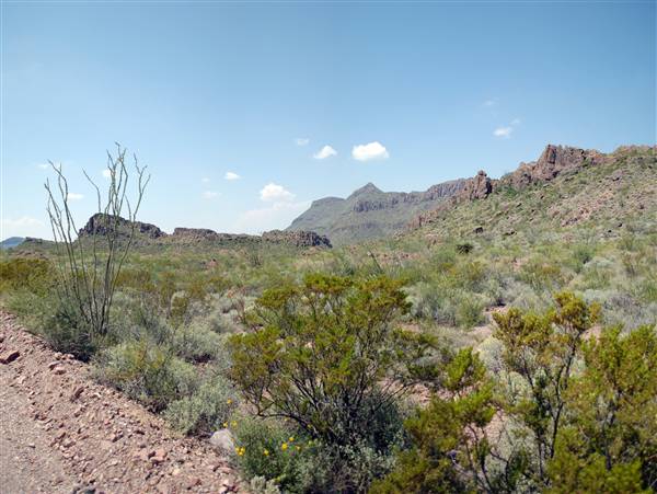 Big Bend Ranch State Park - Yedras (9/23/2010)