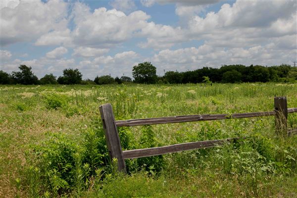 Blackland Prairie Park (5/1/2023 - Credits: Owner)