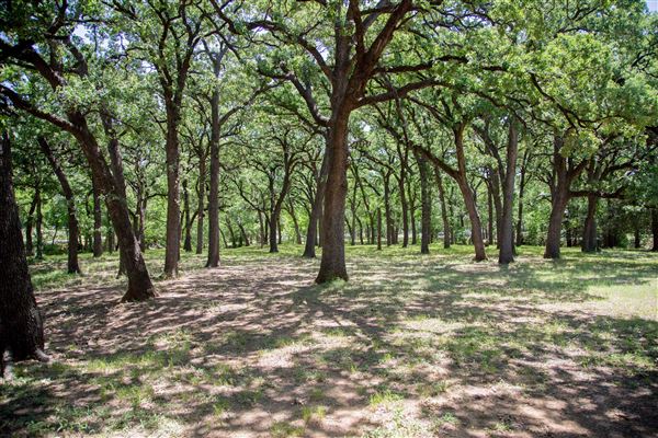 Doug Russell Park (5/1/2023 - Credits: Owner)