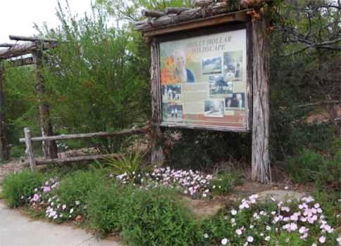 The Molly Hollar Wildscape (5/1/2023 - Credits: Owner)