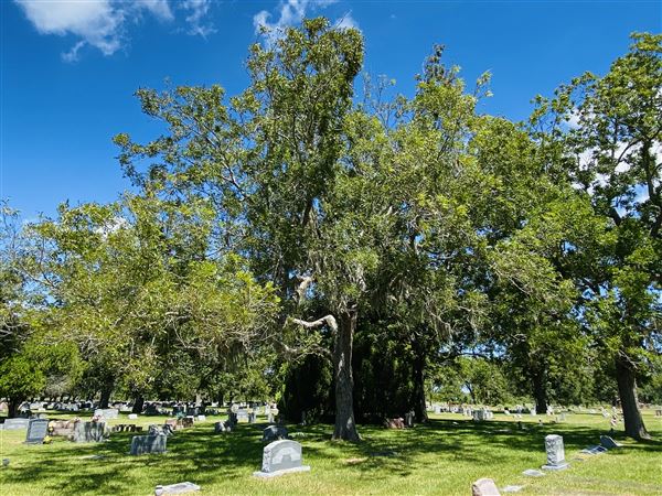 Sweeny Cemetery (8/11/2023 - Credits: LINDSAY KOSKINIEMI)
