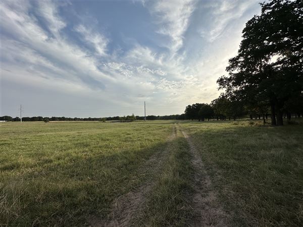 Fairlea Longhorn Ranch (7/20/2023 - Credits: K.Beck)