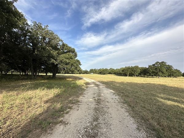 Fairlea Longhorn Ranch (7/20/2023 - Credits: K.Beck)