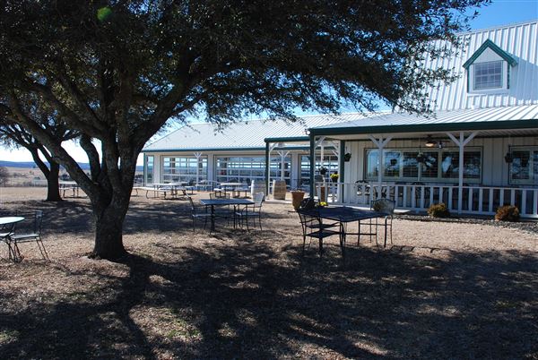 Blue Ostrich Winery & Vineyard (1/27/2023 - Credits: Gabriel Ornelas)