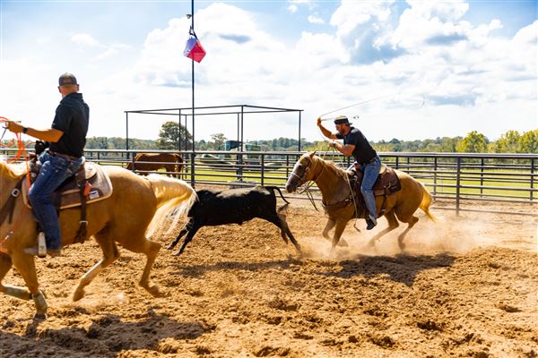 Dead Cat Ranch (9/21/2023 - Credits: Betts DEAD CAT RANCH)