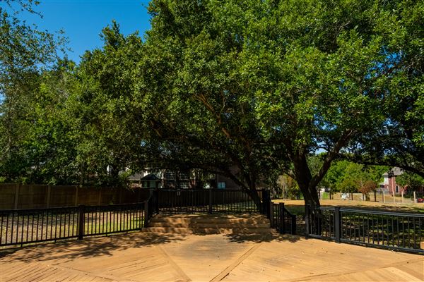 Freedom Tree Park (8/15/2023 - Credits: Jaxon Lara)