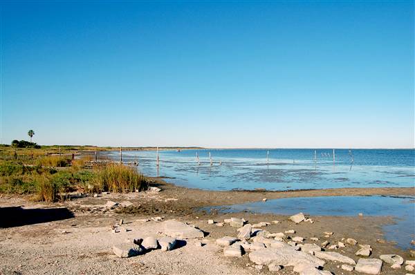 Goose Island State Park (12/2/2010)
