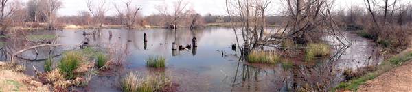 Mineola Nature Preserve (2/11/2009 - Credits: FFTX)