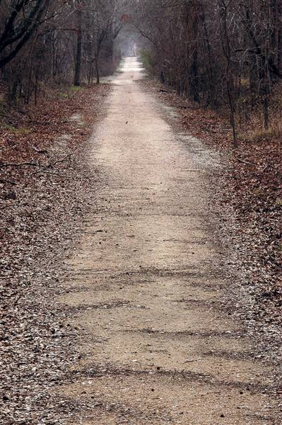 Mineola Nature Preserve (2/11/2009 - Credits: FFTX)