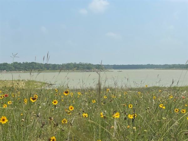 Lake Daniel (6/11/2024 - Credits: Jessica Sutter)
