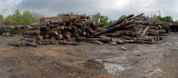 Parrish Lumber (12/21/2010)