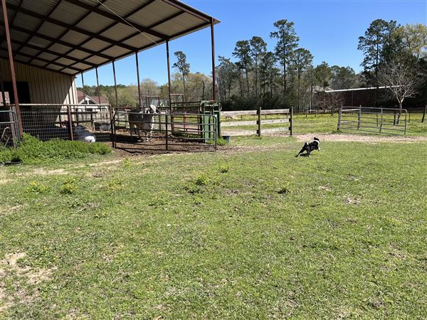 Pine Acres Farm (7/21/2023 - Credits: Bonnie Hubert)