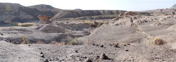 Big Bend Ranch State Park - Hoodoos (2/28/2011)