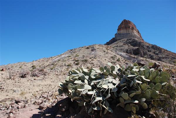 Big Bend National Park - Cerro Castellan (2/28/2011)