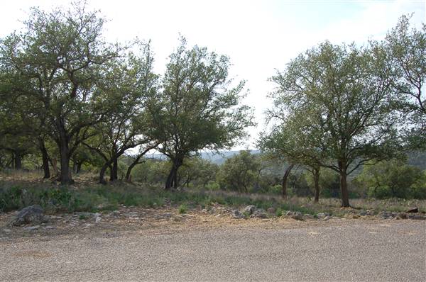 Natural Bridge Wildlife Ranch (4/7/2011)