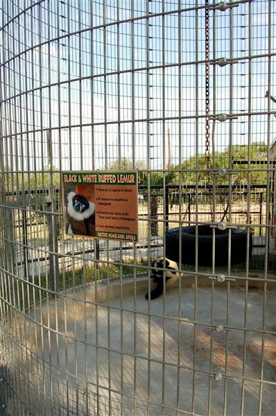Natural Bridge Wildlife Ranch (4/7/2011)