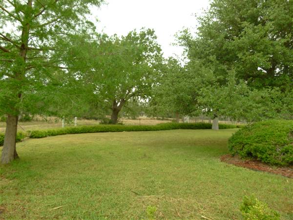 Pool House (6/16/2011)