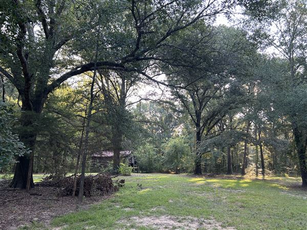 Flournoy Farm (9/24/2024 - Credits: submitted by: Sue Wisdom)