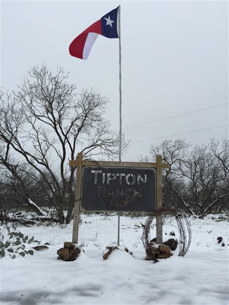 Tipton Ranch (10/11/2024 - Credits: John Cochran)