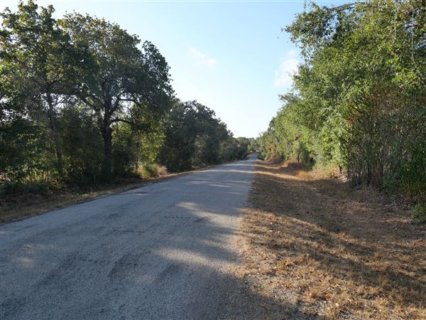 Jones Road (10/29/2024 - Credits: Alex Payne)