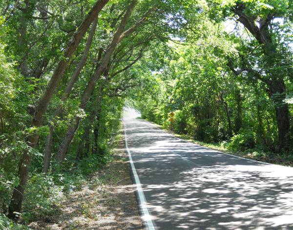 Gloria Road (9/29/2011)