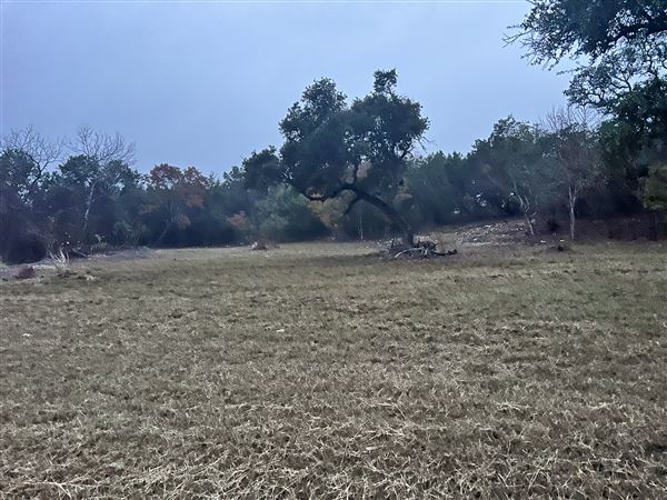 Lost Creek at Wimberley (3/4/2025 - Credits: Todd Nasca)