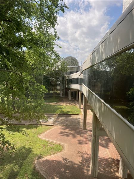 Vivaverse Campus (4/21/2025 - Credits: Ulises Vidal)