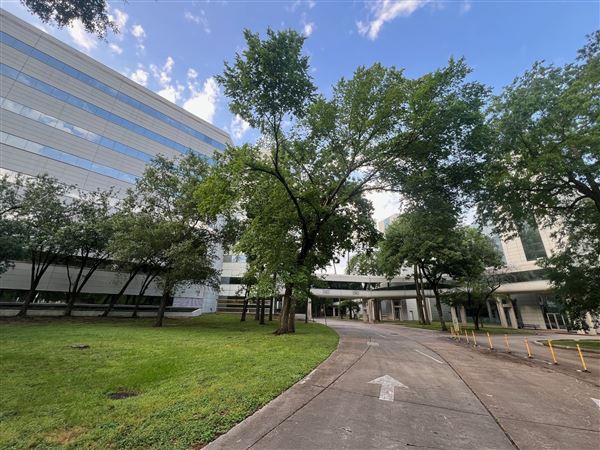 Vivaverse Campus (4/21/2025 - Credits: Ulises Vidal)