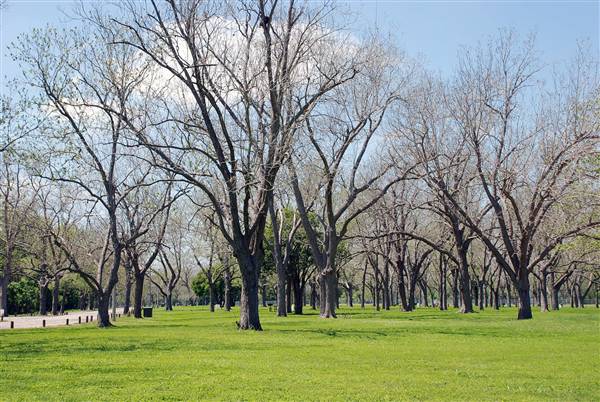 Riverside Park (3/22/2012)