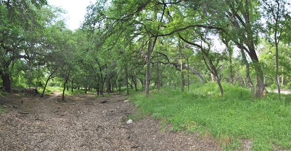 Phil Hardberger Park (4/7/2012)
