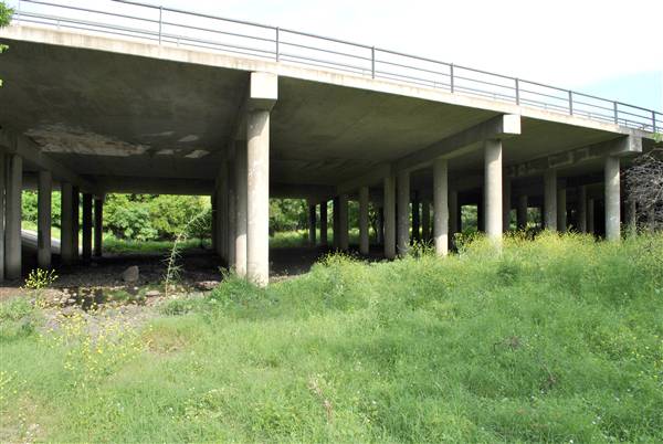 Phil Hardberger Park (4/7/2012)