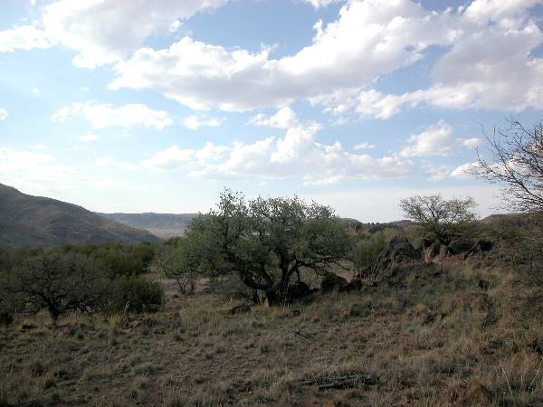 CF Ranch (1/27/2003)