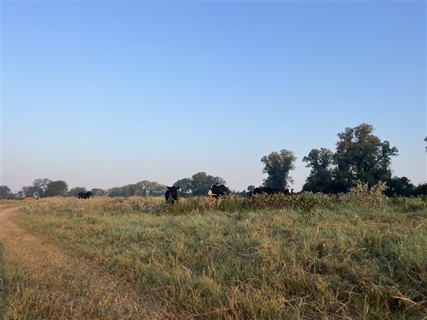 Evans Ranch (9/20/2024 - Credits: submitted by: kate evans)