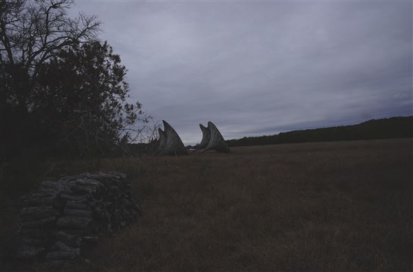 Four Winns Ranch (1/29/2026 - Credits: Jamal Burrell)