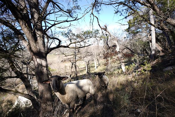 Four Winns Ranch (1/29/2026 - Credits: Jamal Burrell)