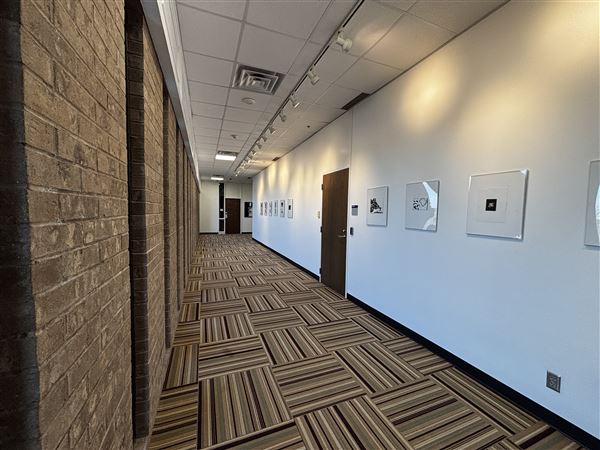Dallas College - Cedar Valley Campus - Learning Commons (10/5/2026 - Credits: Austin Flores)