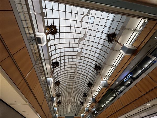 Galleria Dallas (10/6/2025 - Credits: Austin Flores)