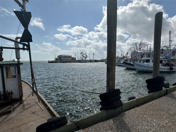 Port Lavaca City Harbor (3/1/2026 - Credits: Tania French)