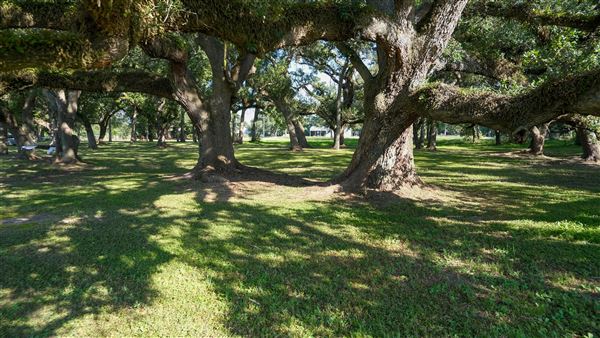The Oaks of Anahuac (9/12/2025 - Credits: Houston Film Commission)