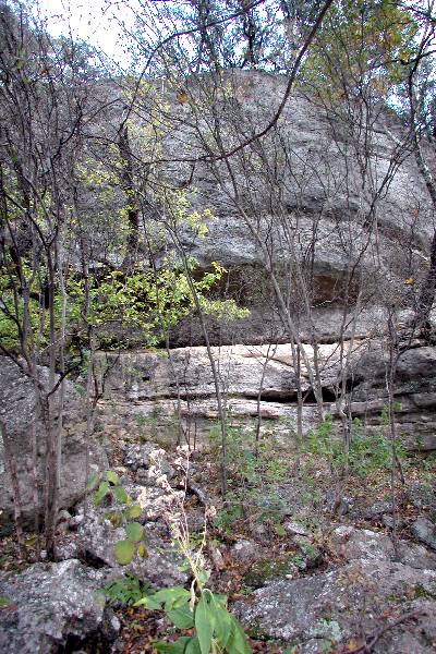 Milton Reimers Ranch County Park (11/29/2004)