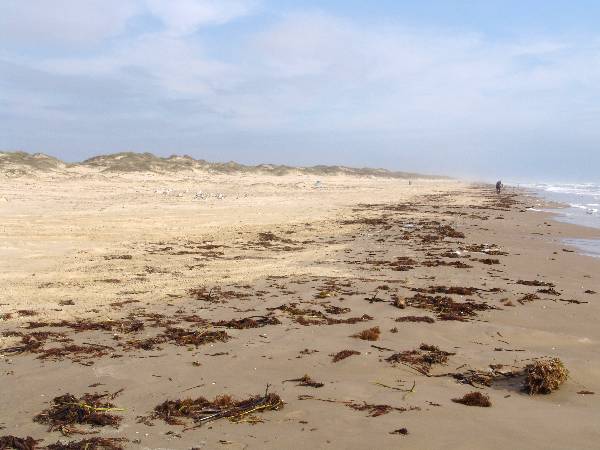 Boca Chica Beach & Dunes (3/2/2005)