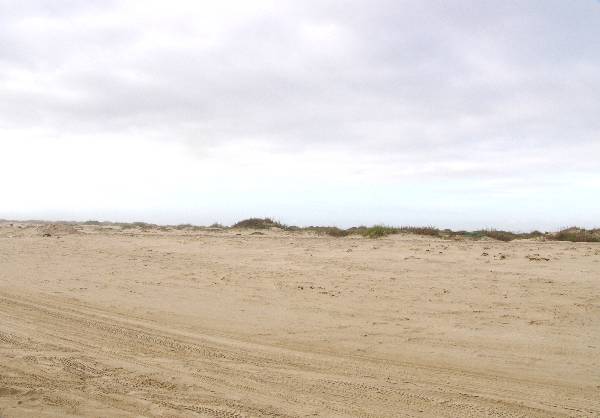 Boca Chica Beach & Dunes (3/2/2005)