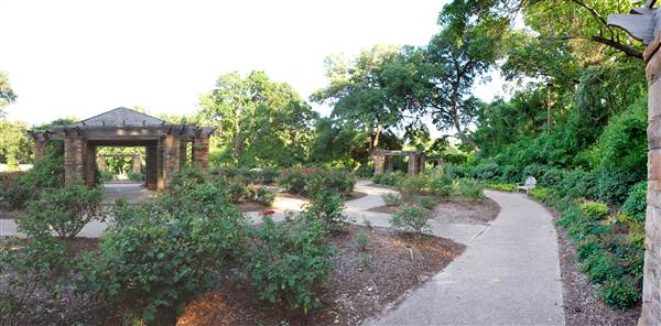 Fort Worth Botanic Garden - Rose Garden (5/16/2012)