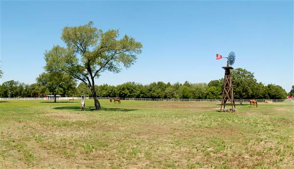 JR Stables (8/22/2012)